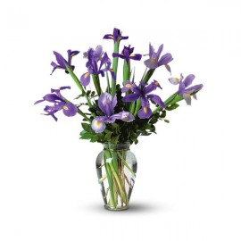 L'arrangement d'iris dans un vase